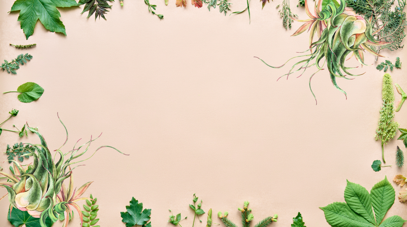 Leaf background